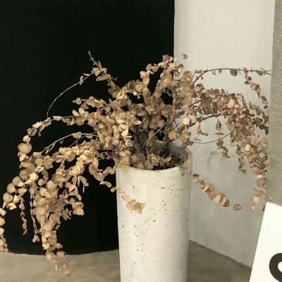 Furry插画细节提升Furry群